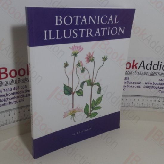 Picture of Botanical Illustration (Signed)