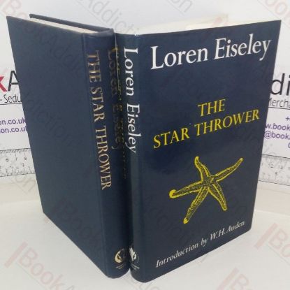 Picture of The Star Thrower