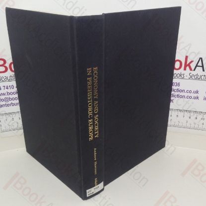 Picture of Economy and Society in Prehistoric Europe: Changing Perspectives