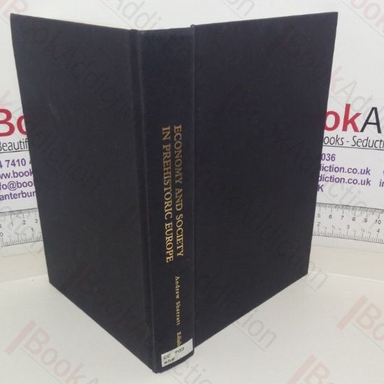 Picture of Economy and Society in Prehistoric Europe: Changing Perspectives