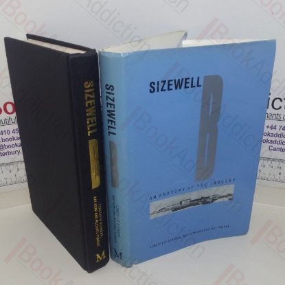 Picture of Sizewell B: An Anatomy of the Enquiry