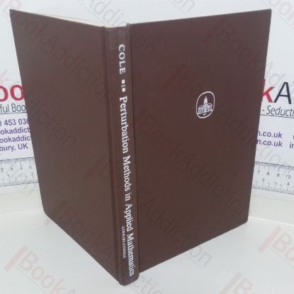 Picture of Perturbation Methods in Applied Mathematics (Pure and Applied Mathematics series)