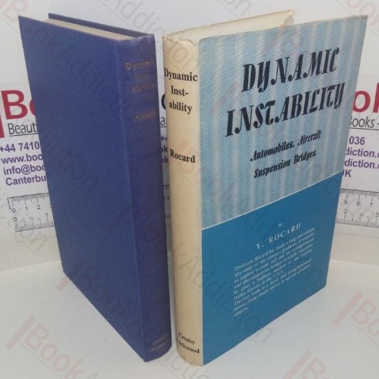 Picture of Dynamic Instability: Automobiles, Aircraft, Suspension Bridges