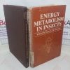 Picture of Energy Metabolism in Insects