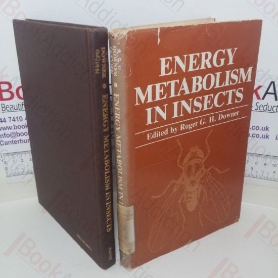 Picture of Energy Metabolism in Insects