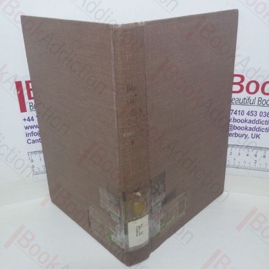 Picture of Black Nationalism: A Search for an Identity in America