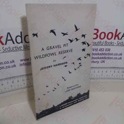 Picture of A Gravel Pit Wildfowl Reserve