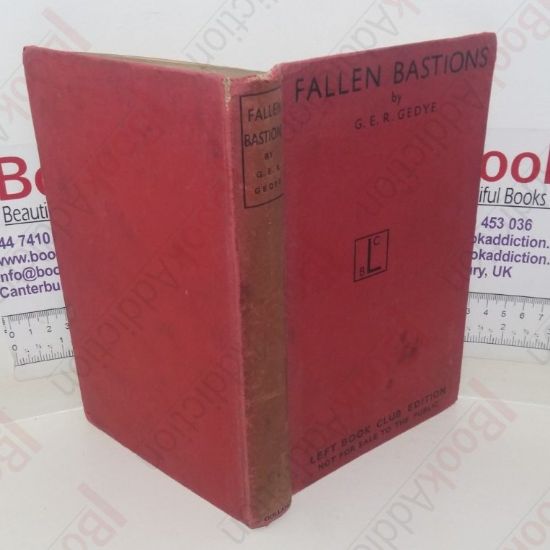 Picture of Fallen Bastions: The Central European Tragedy