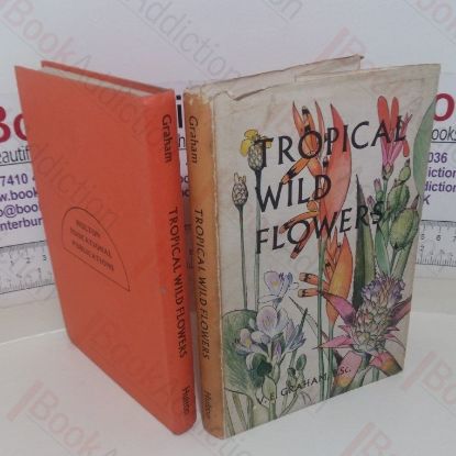 Picture of Tropical Wild Flowers