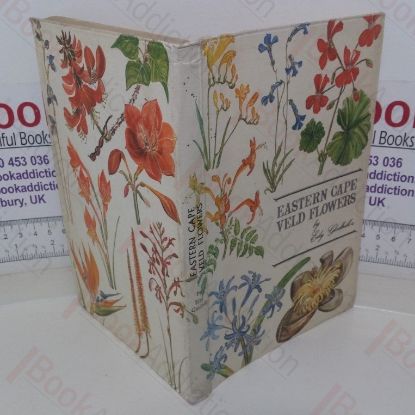 Picture of Eastern Cape Veld Flowers