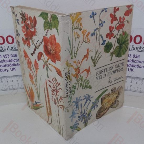 Picture of Eastern Cape Veld Flowers