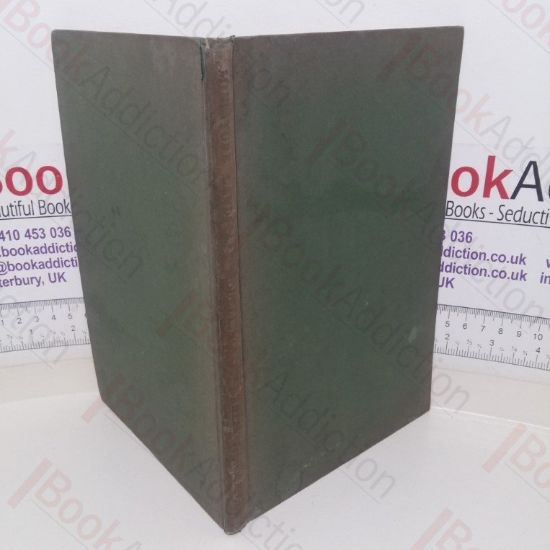 Picture of Miniature Landscape Modelling