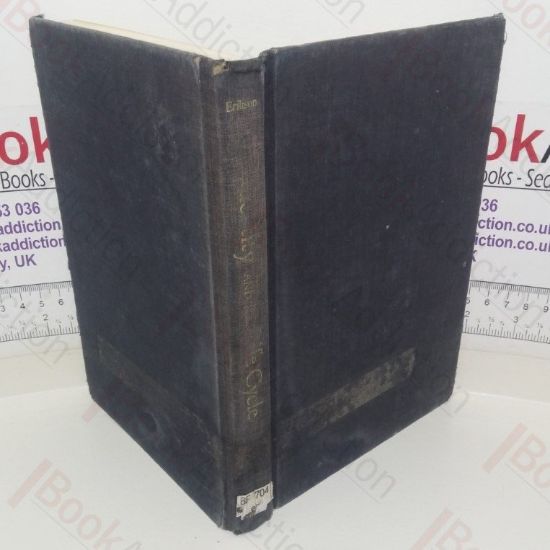 Picture of Identity and the Life Cycle