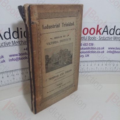 Picture of Industrial Trinidad