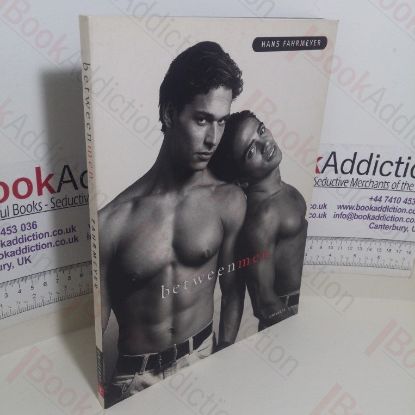 Picture of Immaterial World: Transparency in Architecture