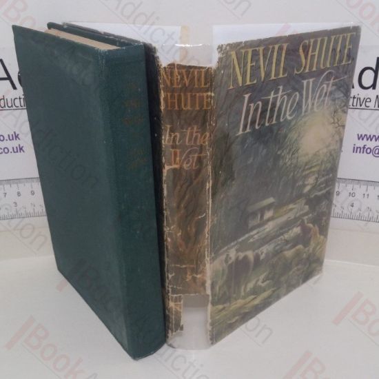 Picture of In the Wet