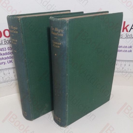 Picture of The Magic Mountain (Volumes One and Two)