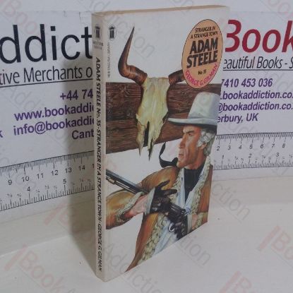 Picture of Stranger in a Strange Town (Adam Steele series, No. 35)