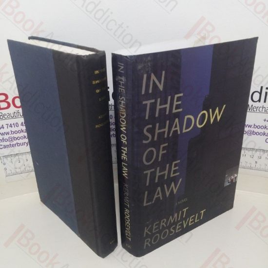 Picture of In the Shadow of the Law