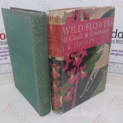 Picture of Wild Flowers of Chalk and Limestone (New Naturalist series, No. 16)