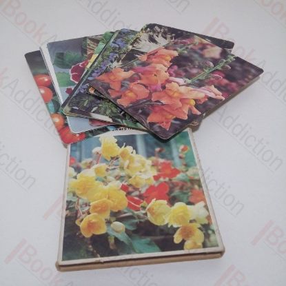 Picture of Webbs' Gardening Cards: Flowers from Seed