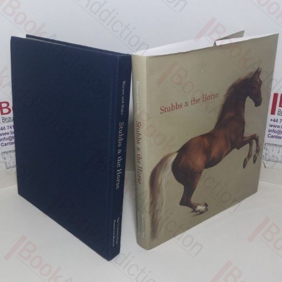 Picture of Stubbs and the Horse