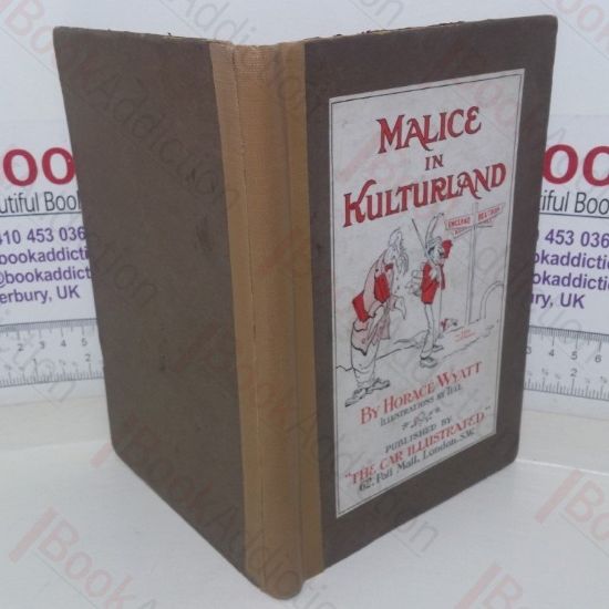 Picture of Malice In Kulturland