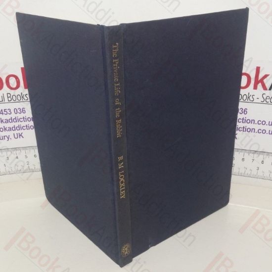 Picture of The Private Life of the Rabbit: An Account of the Life History and Social Behavior of the Wild Rabbit