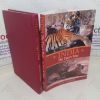 Picture of India: The Tiger's Roar