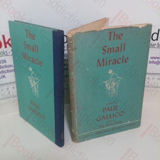 Picture of The Small Miracle