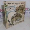 Picture of How the World Began