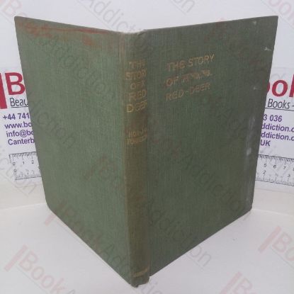 Picture of The Story of a Red-Deer