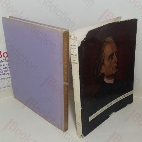 Picture of Franz Liszt in Bohemia