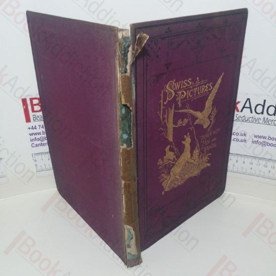 Picture of Swiss Pictures: Drawn With Pen And Pencil