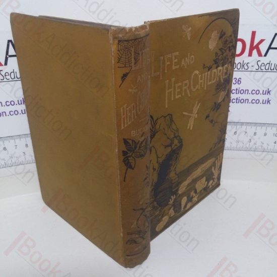 Picture of Life and Her Children: Glimpses of Animal Life From the Amoeba to the Insects