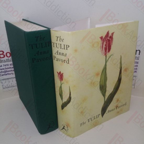 Picture of The Tulip