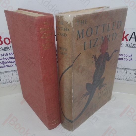 Picture of The Mottled Lizard