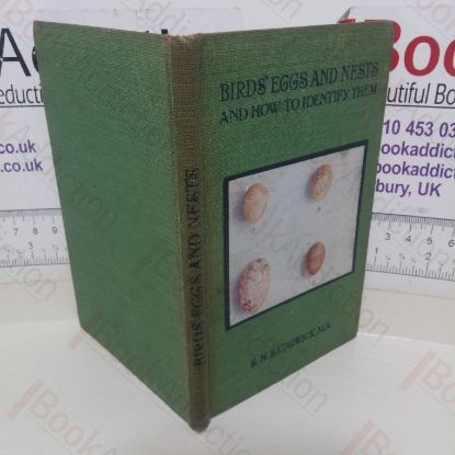 Picture of Bird's Eggs and Nests: A Simple Guide to Identify the Nests of Common British Birds