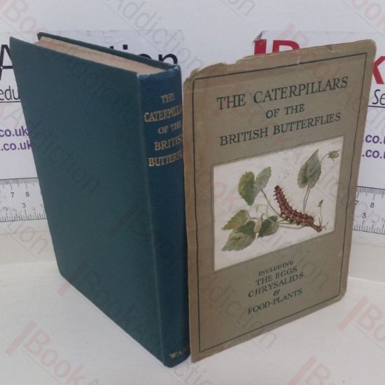 Picture of The Caterpillars of the British Butterflies, including the Eggs, Chrysalids and Food-Plants
