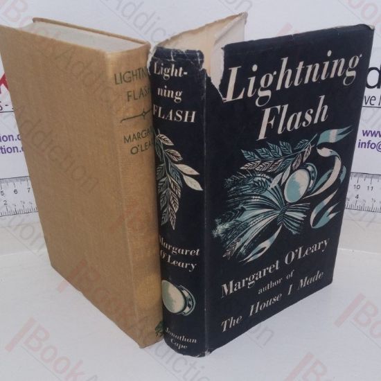 Picture of Lightning Flash