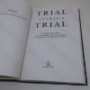 Picture of Trial Within a Trial