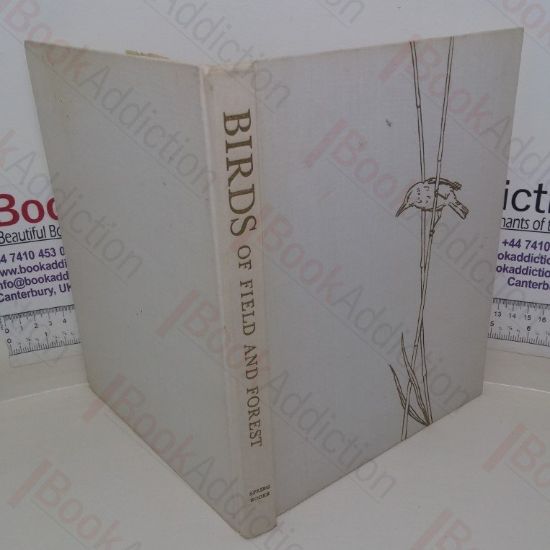 Picture of Birds of Field and Forest