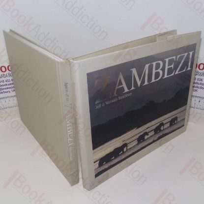 Picture of Spirit of the Zambezi