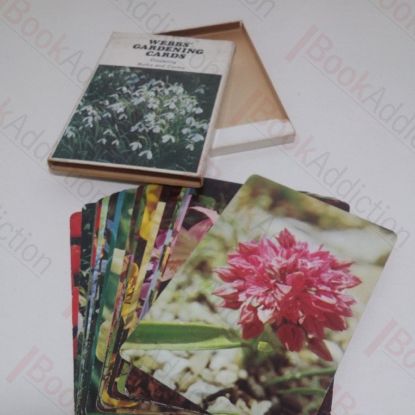 Picture of Webbs' Gardening Cards: Bulbs and Corms