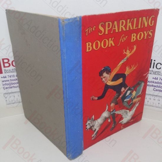 Picture of The Sparkling Book for Boys