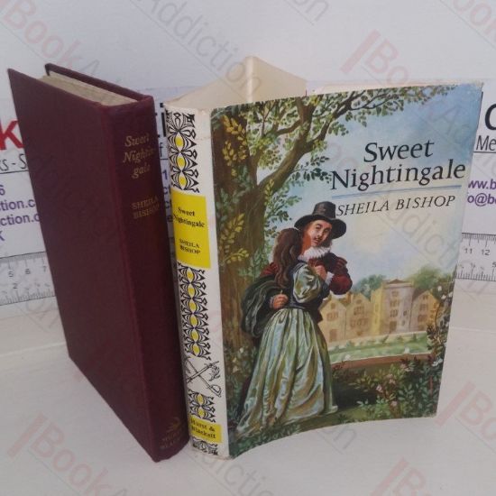 Picture of Sweet Nightingale