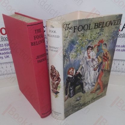 Picture of The Fool Beloved