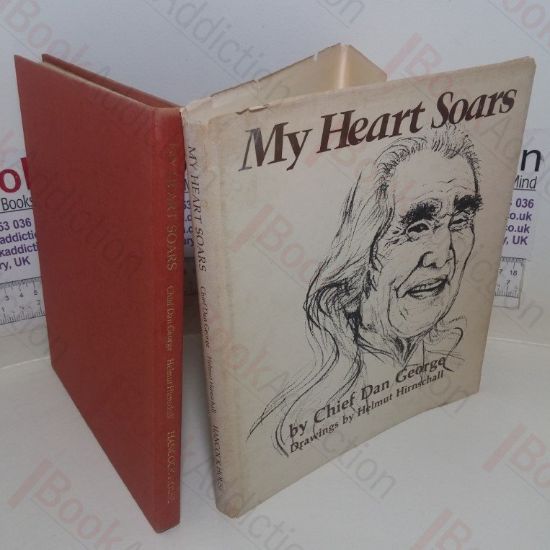 Picture of My Heart Soars