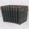 Picture of Familiar Wild Flowers, Series 1 to 8 (8 volumes)