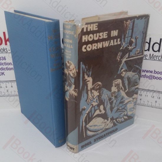 Picture of The House in Cornwall